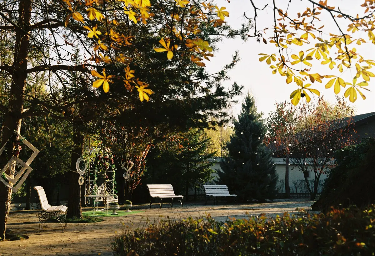 Seasonal Bench Care: A Month-by-Month Guide for UK Outdoor Benches